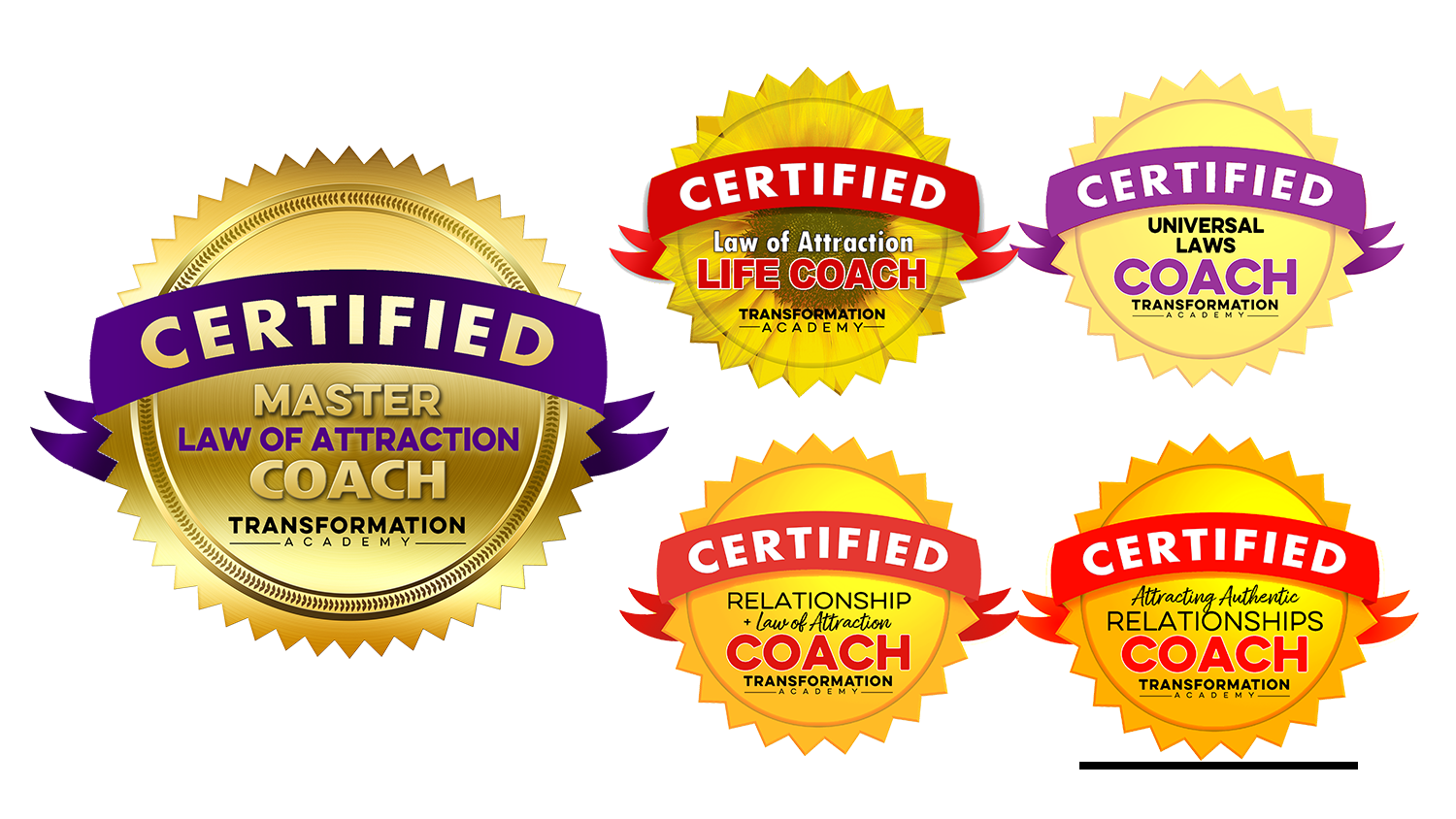 Master Law of Attraction Coach Certification - Transformation Academy