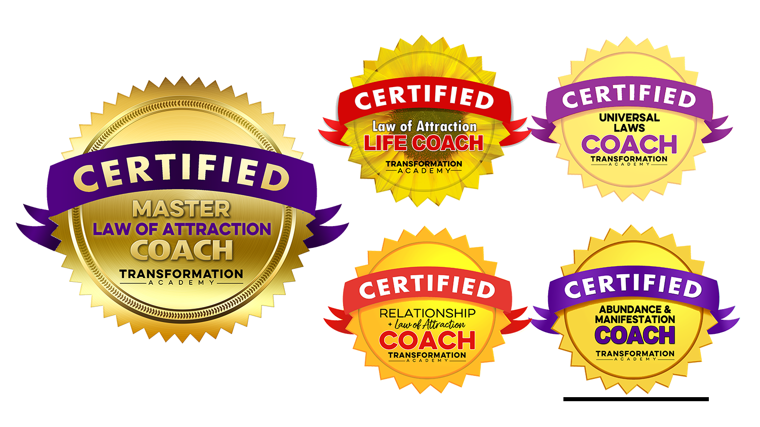 Master Law of Attraction Coach Certification - Transformation Academy