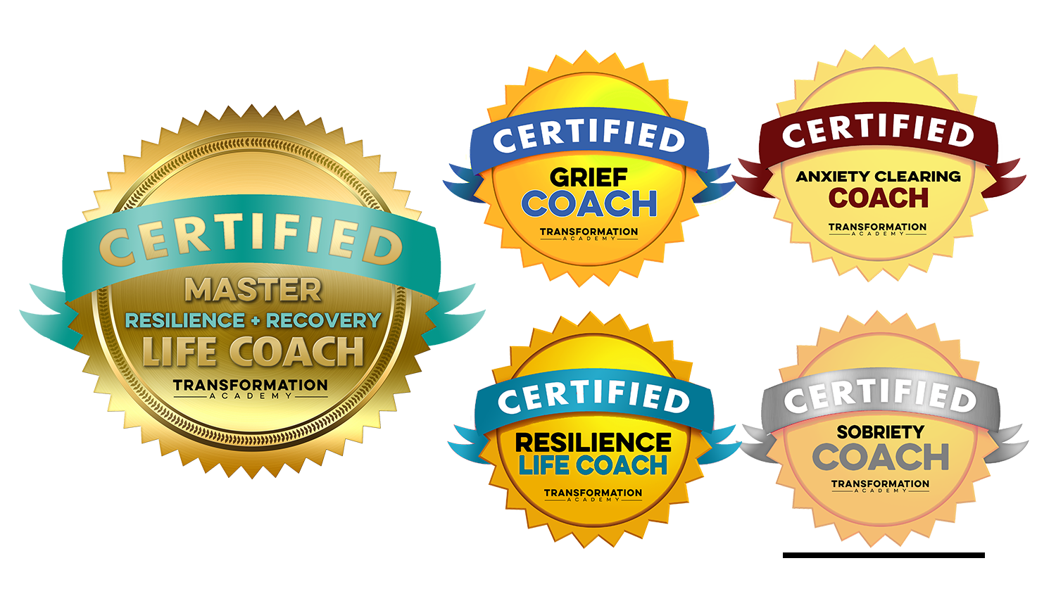 Master Resilience and Recovery Life Coach Certification