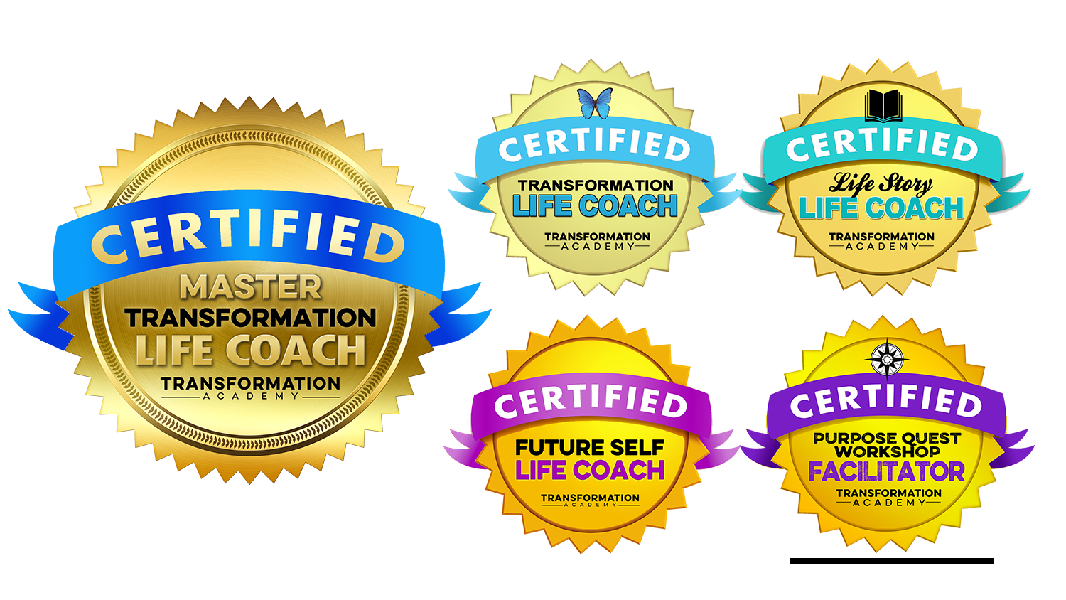 Master Transformation Life Coach Certification - Transformation Academy