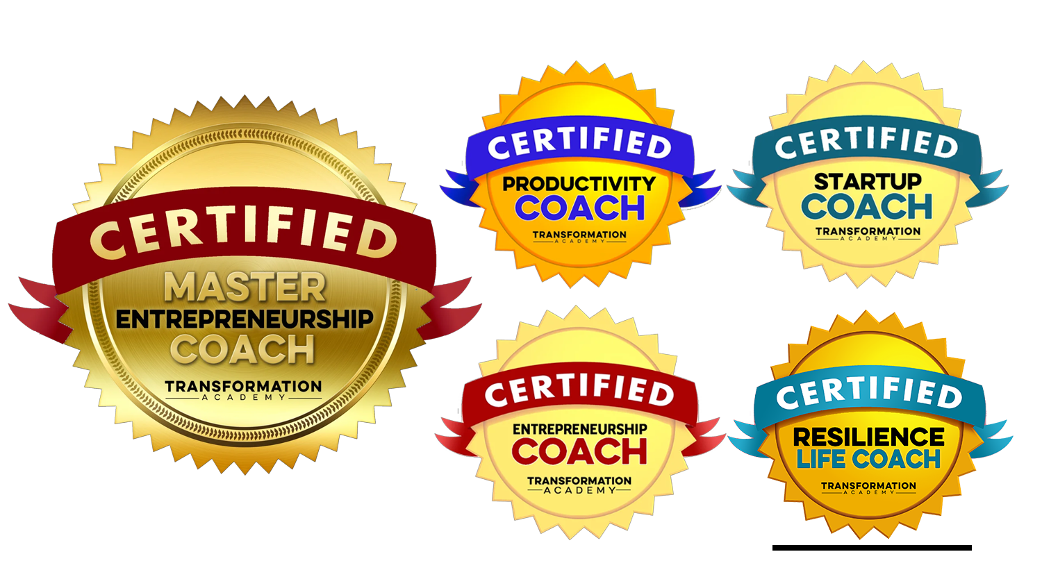 Master Entrepreneurship Coach Certification - Transformation Academy