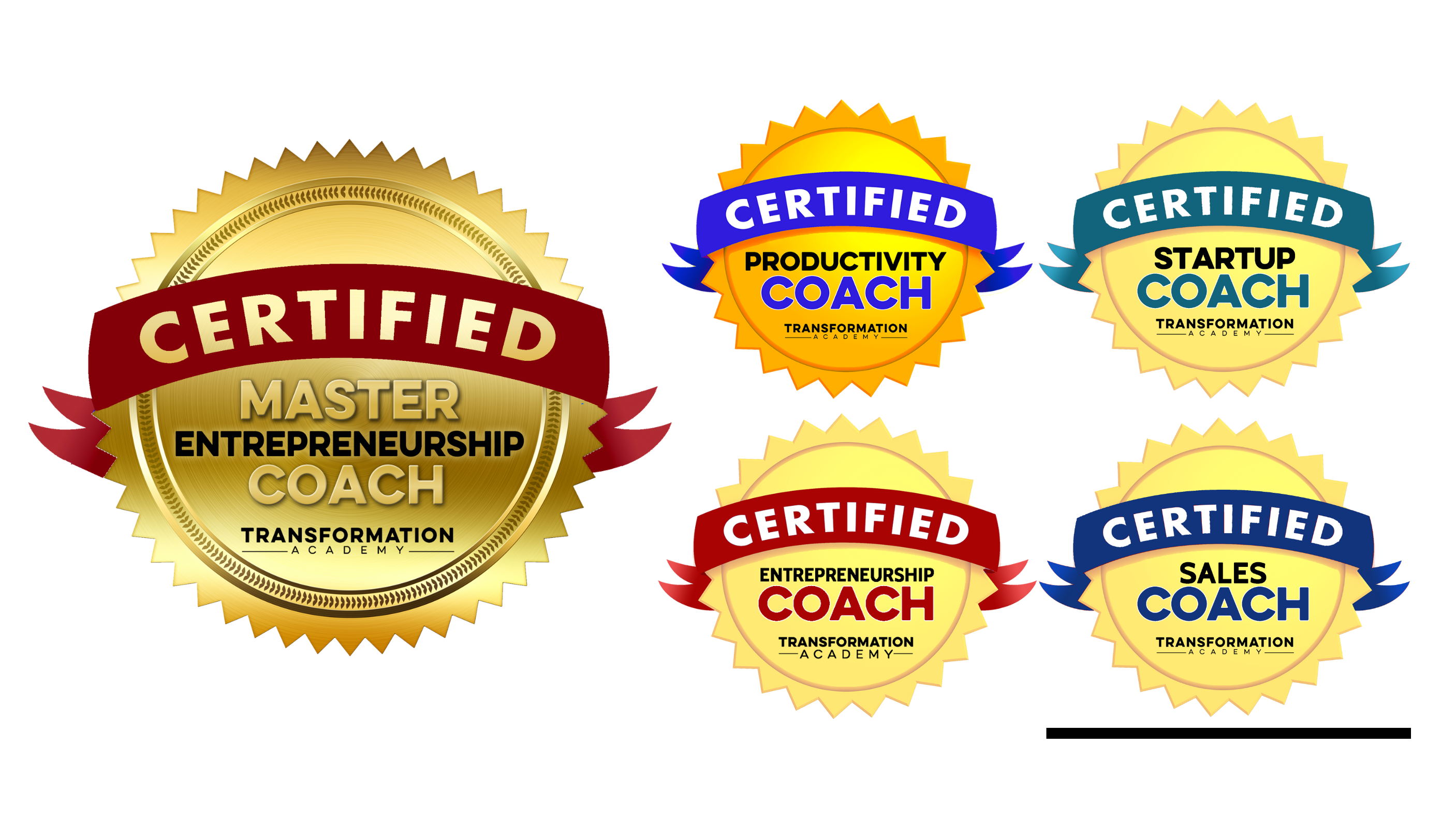 Master Entrepreneurship Coach Certification - Transformation Academy