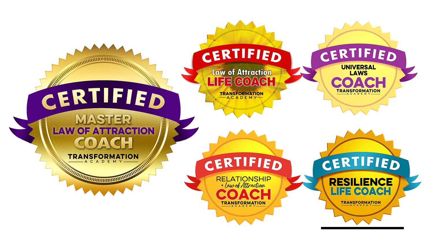 Master Law of Attraction Coach Certification - Transformation Academy