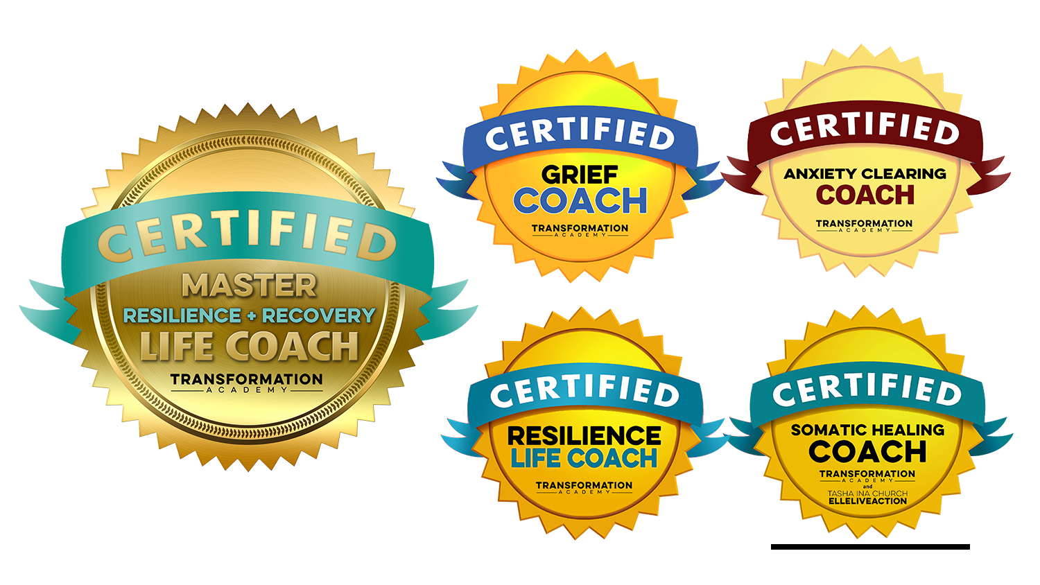 Master Resilience and Recovery Life Coach Certification