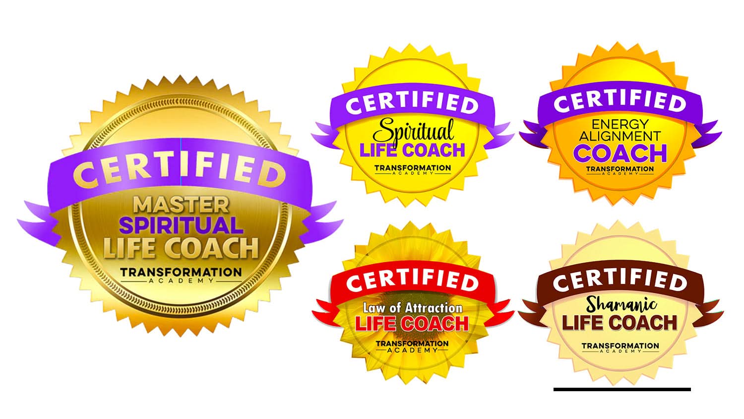Master Spiritual Life Coach Certification - Transformation Academy