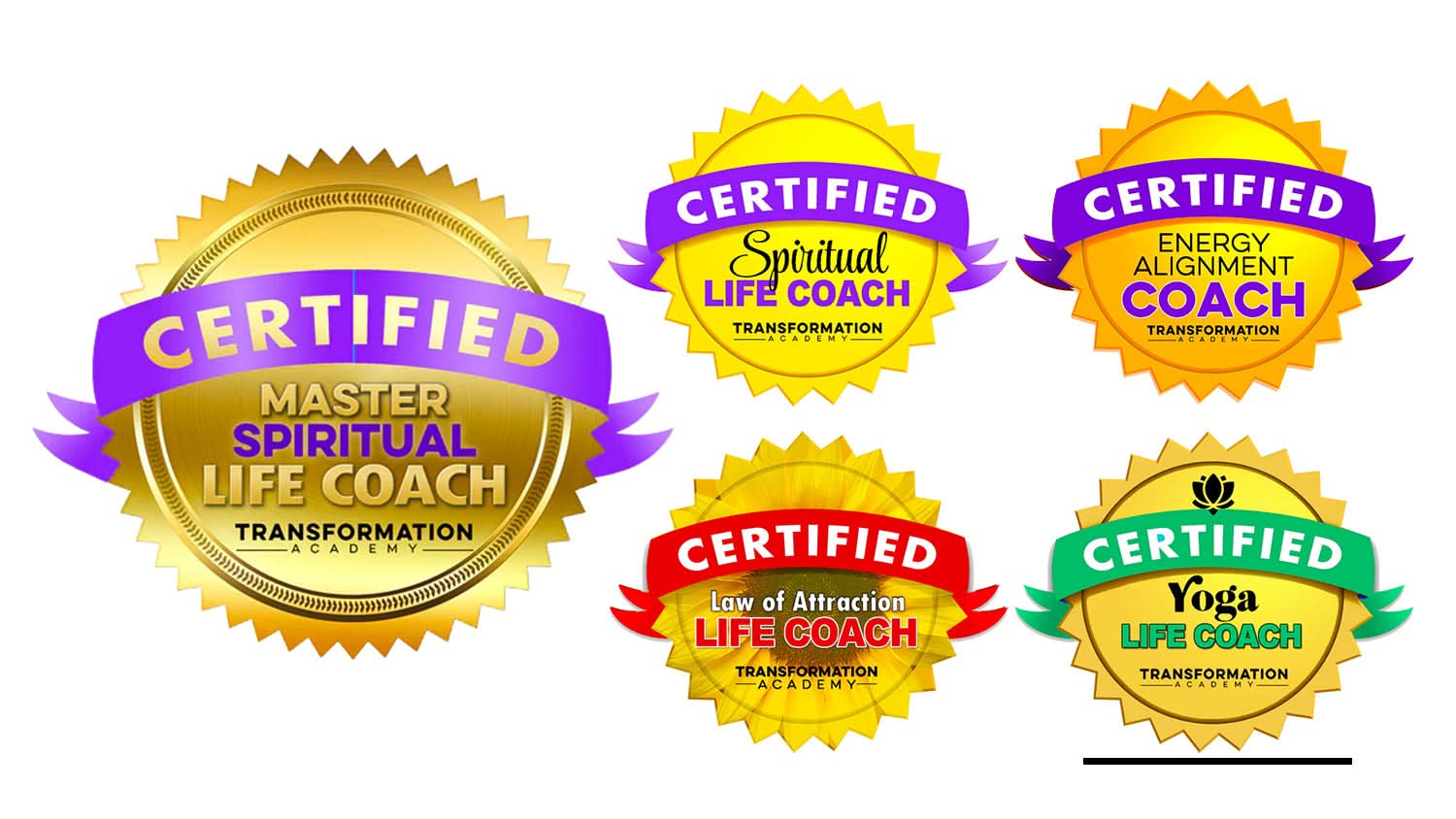 Master Spiritual Life Coach Certification - Transformation Academy