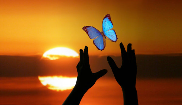The Complete Guide to Total Transformation: Breakthrough, Create Lasting Change, and Master Your Destiny