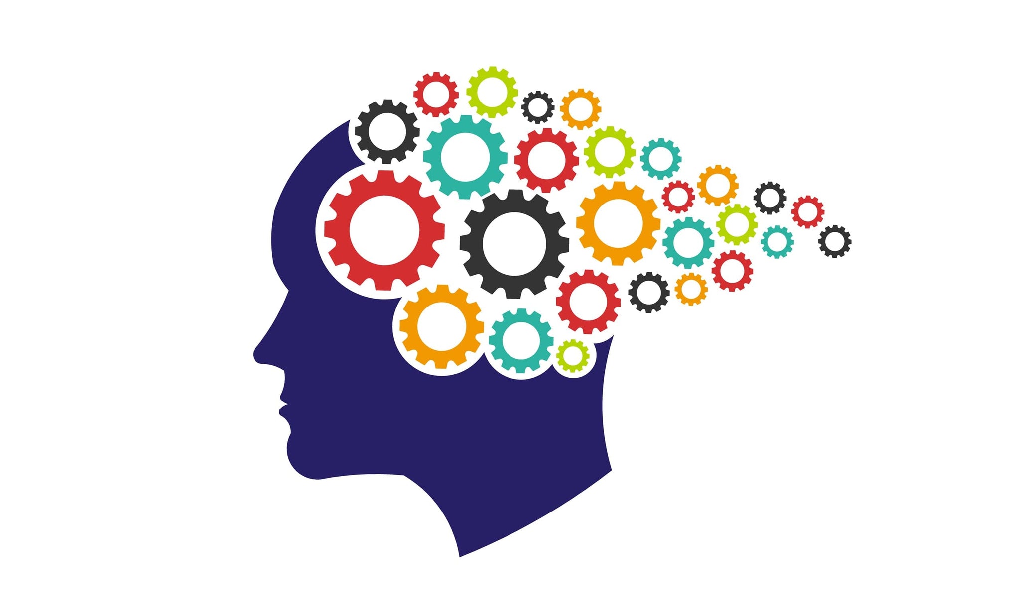Psychology of Memory: Strengthen and Improve Your Memory - Transformation Academy