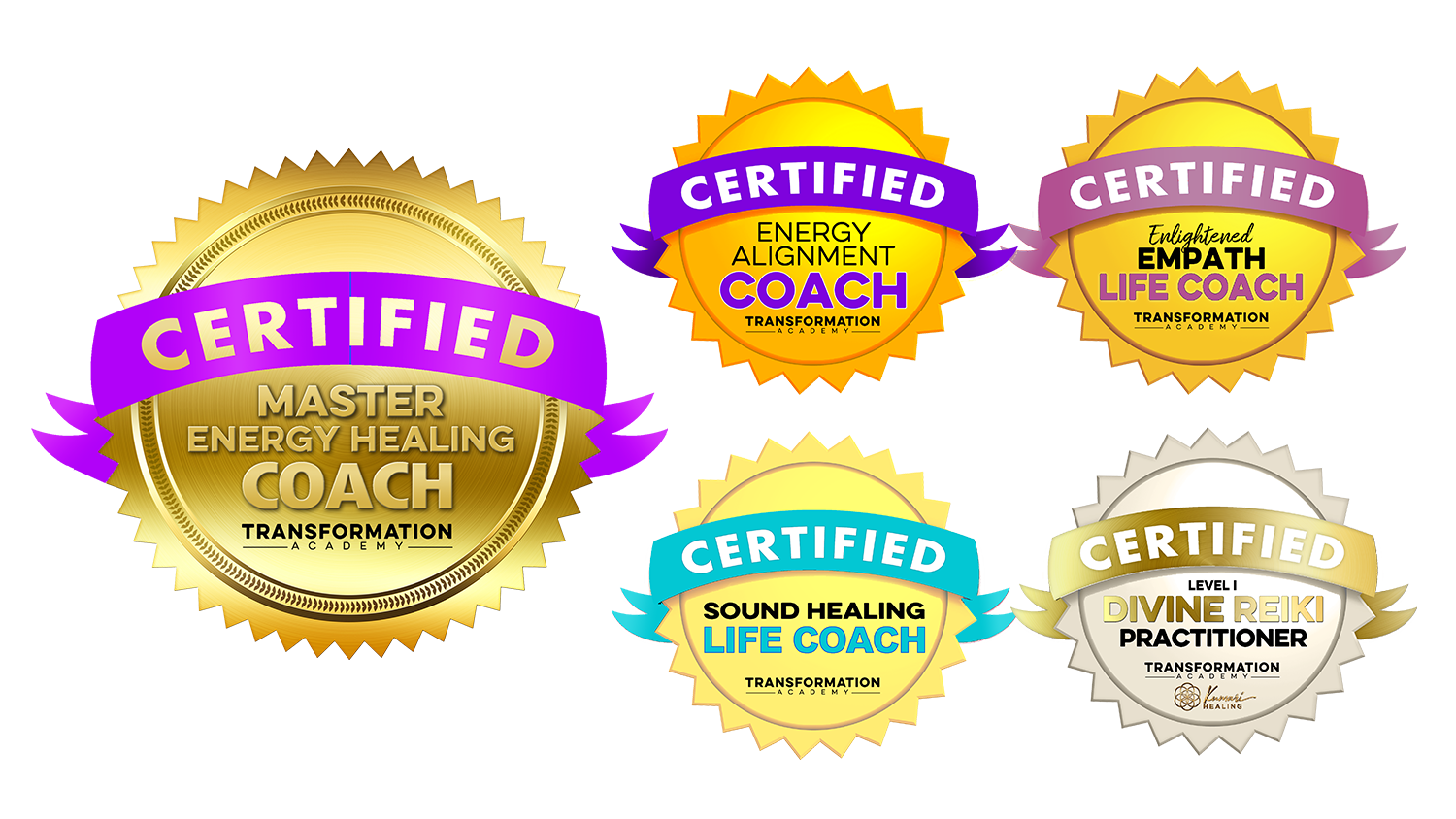 Master Energy Healing Coach - Transformation Academy
