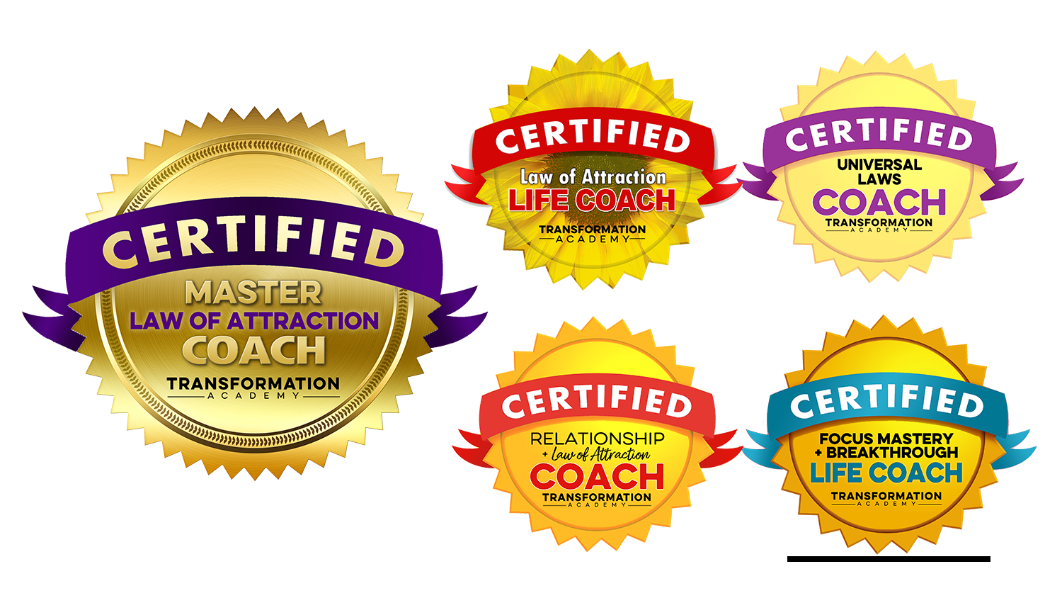 Master Law of Attraction Coach Certification