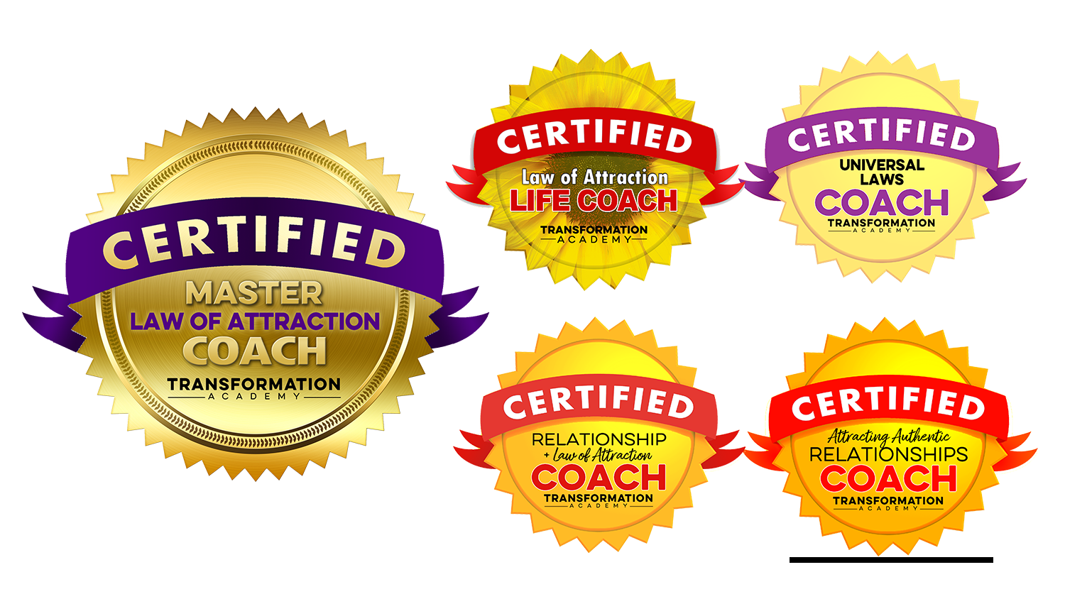 Master Law of Attraction Coach Certification