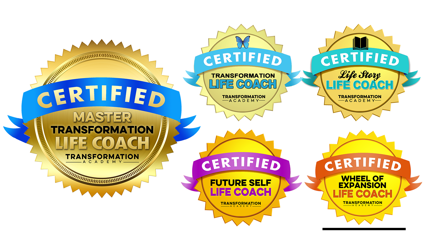 Master Transformation Life Coach Certification - Transformation Academy