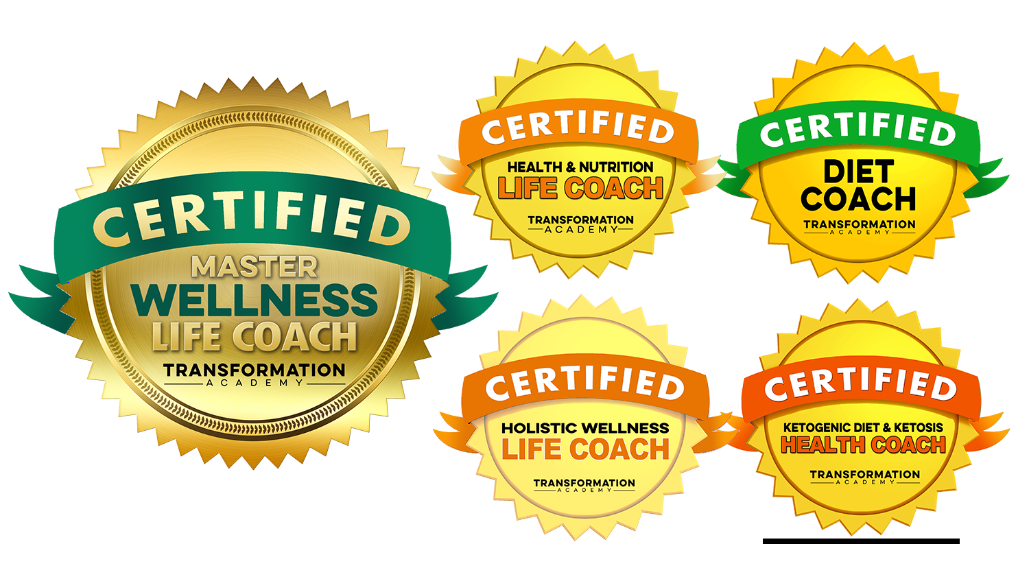 Master Wellness Life Coach Certification - Transformation Academy