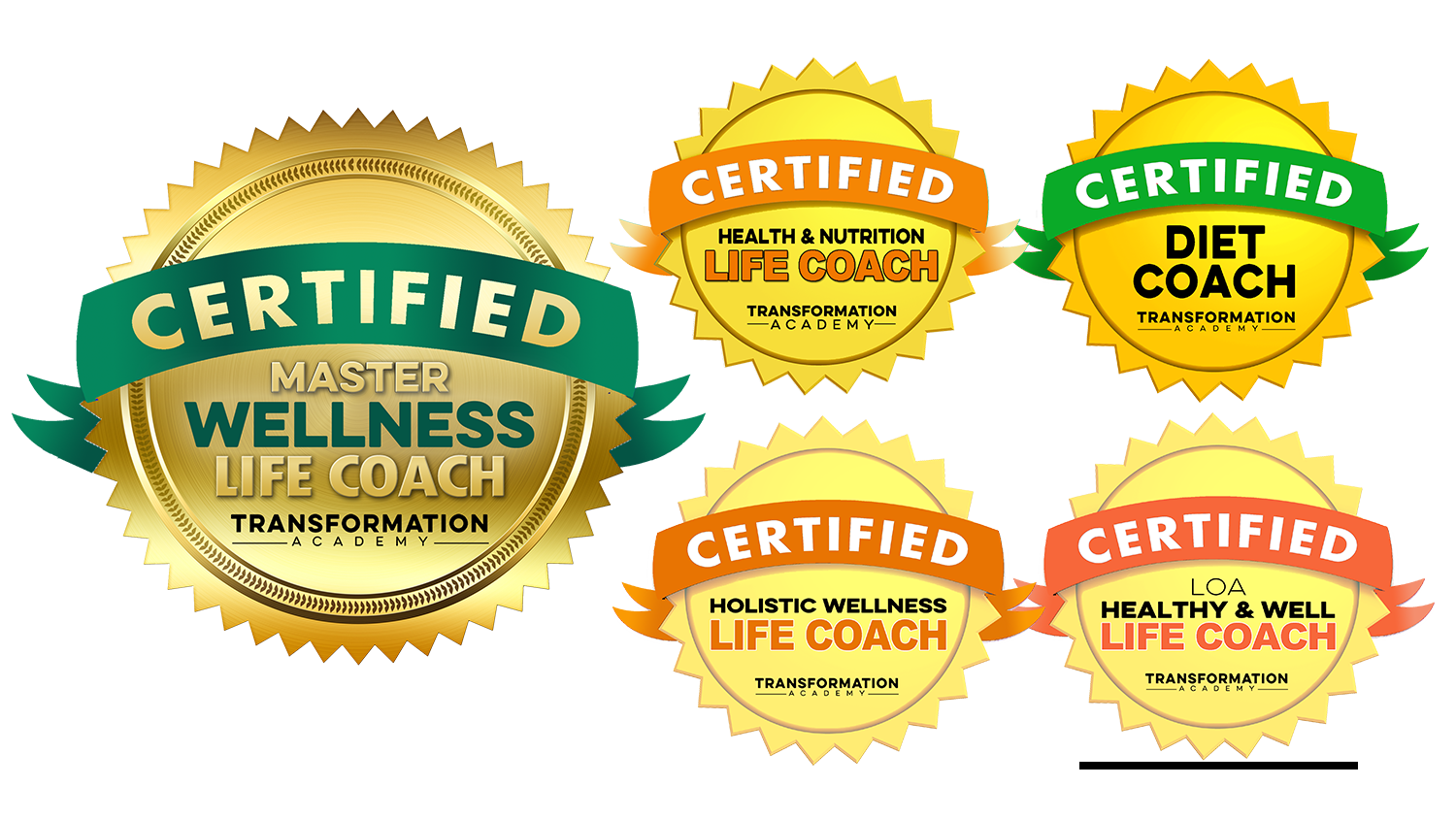 Master Wellness Life Coach Certification - Transformation Academy