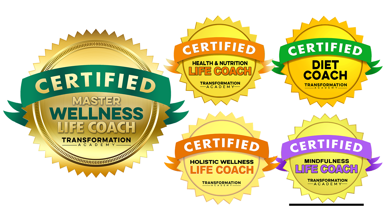 Master Wellness Life Coach Certification - Transformation Academy