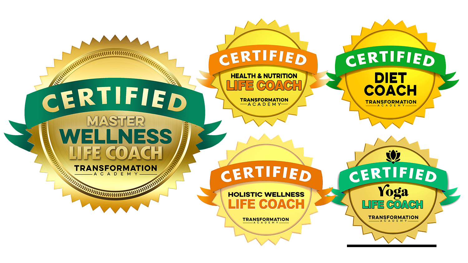 Master Wellness Life Coach Certification - Transformation Academy