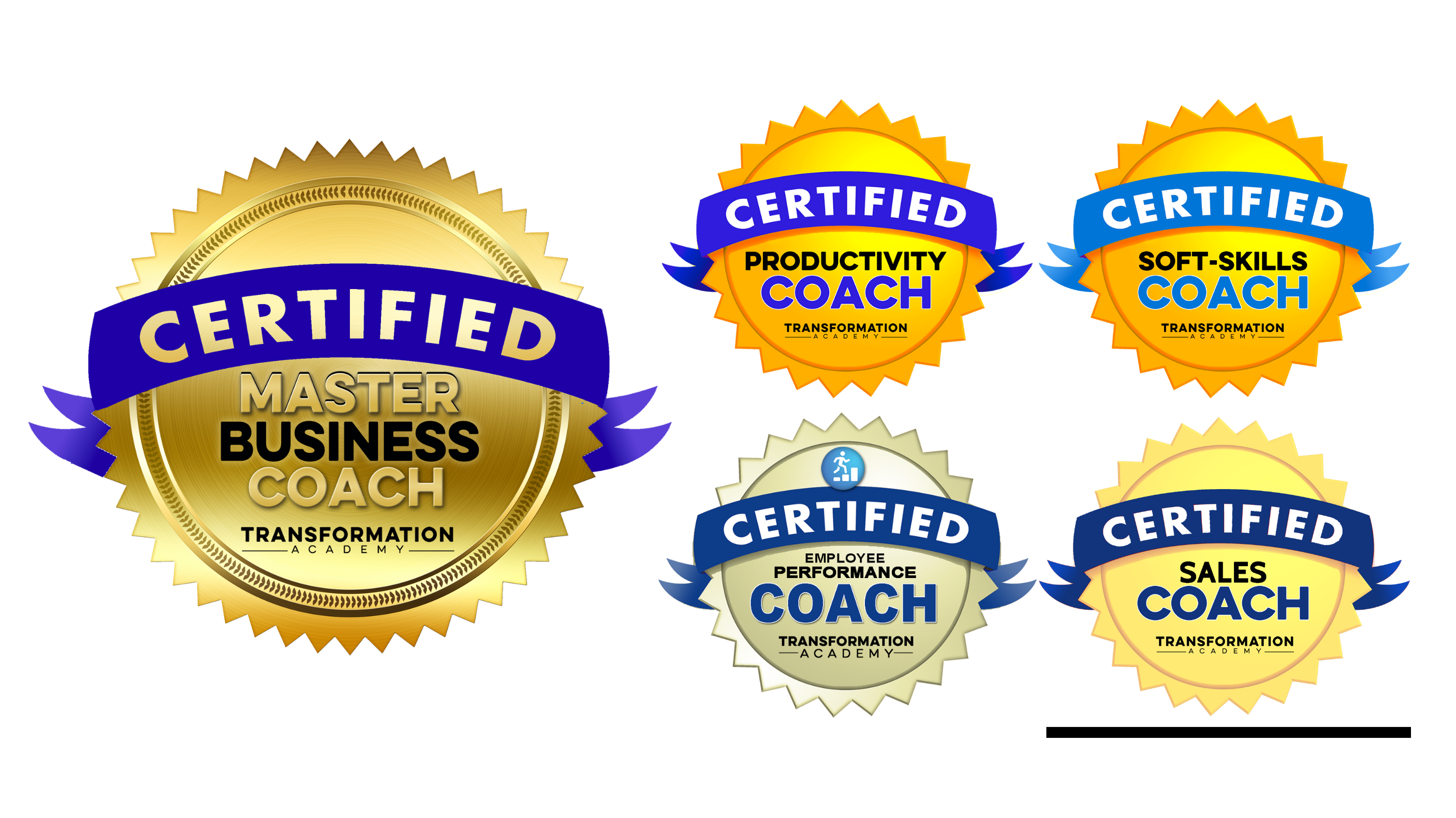 Master Business Coach Certification (Corporate)