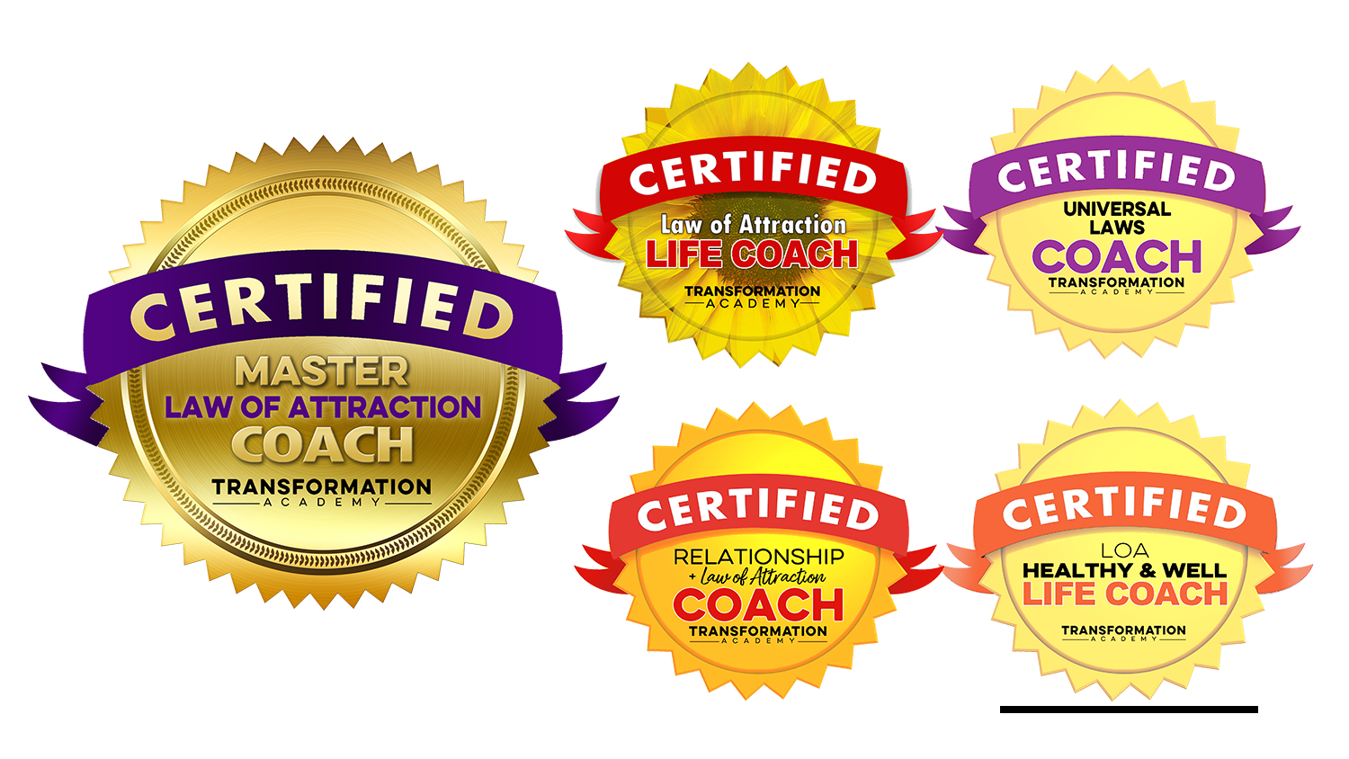 Master Law of Attraction Coach Certification